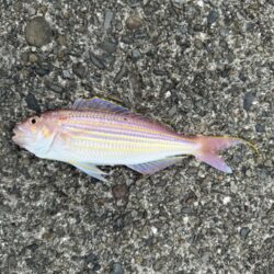 投げ釣り