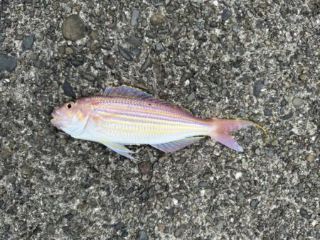 投げ釣り