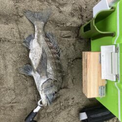 キス釣り