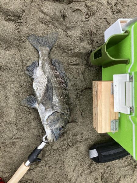 キス釣り