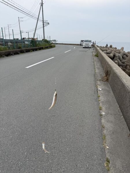 シロギス釣り