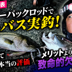 ダイソーパックロッドでシーバスキャッチ!