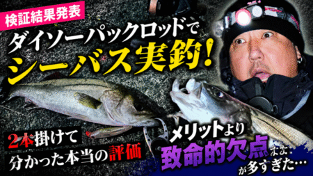 ダイソーパックロッドでシーバスキャッチ!