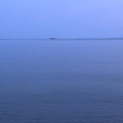 多魚乱舞