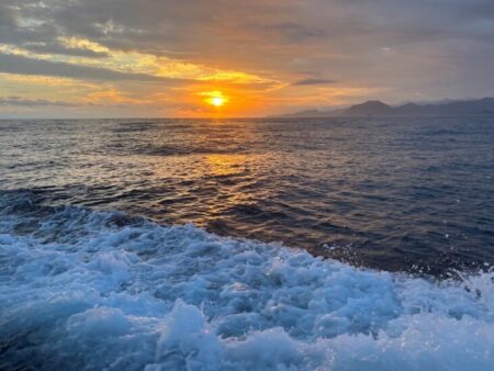 シロイカの釣果が良くなってきていたのに行けば激渋！