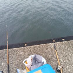 コブダイ釣り