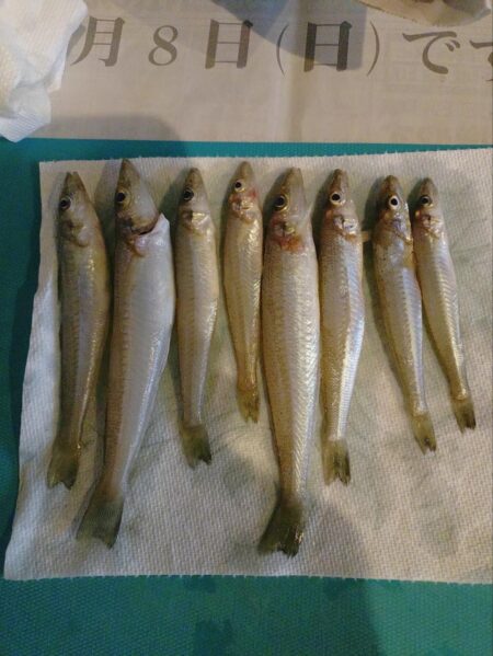 三重釣行1