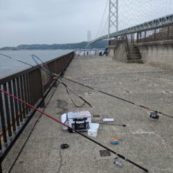 フカセ釣り