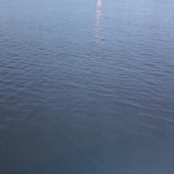 アジング11
