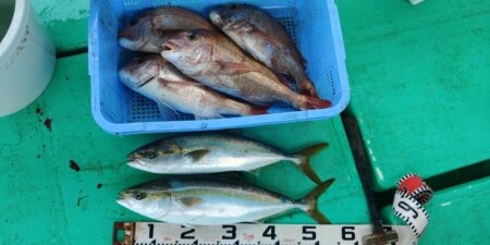 泉州丸 釣果