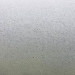 雨上がりの一撃