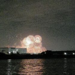 マチヌ3匹