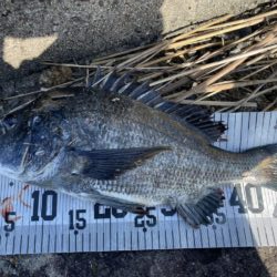 イチノ兄弟、釣果!