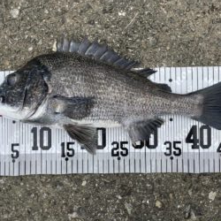 イチノ兄弟、釣果！