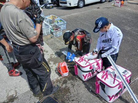 和歌山市江（吉丸渡船）でグレ釣り