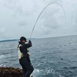 和歌山県紀伊有田（松村渡船）で磯釣り