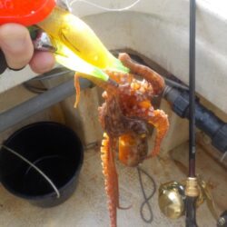 タコ第2戦〜盛和丸〜