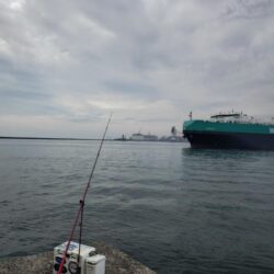 14時から播磨釣査
