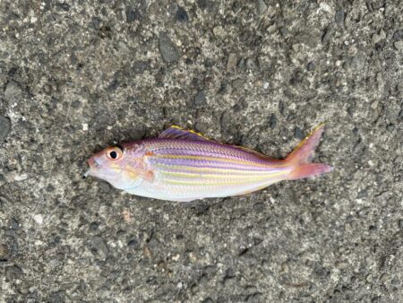 投げ釣り
