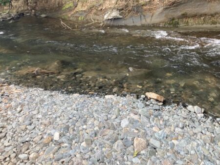 昭和レトロな渓流竿でアユイング🎣