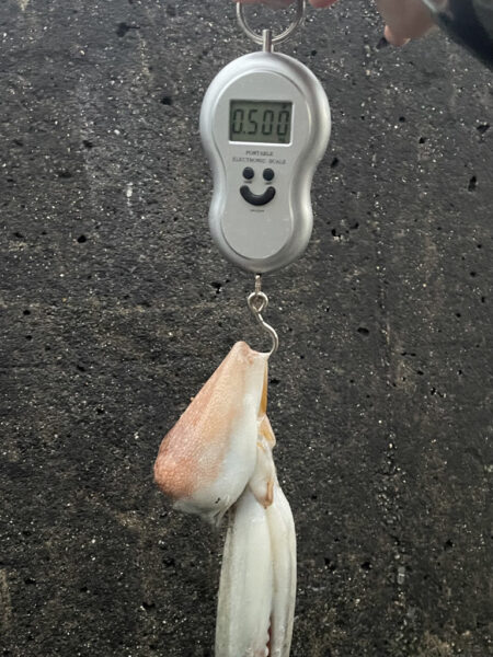 雨天決行‼️
