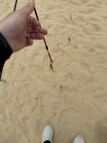 キス釣り第二戦