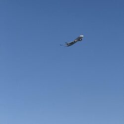 東京湾タイラバ