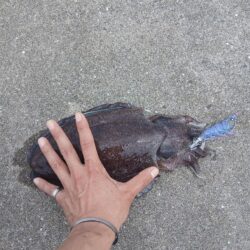 狙いちゃうけど満足!!