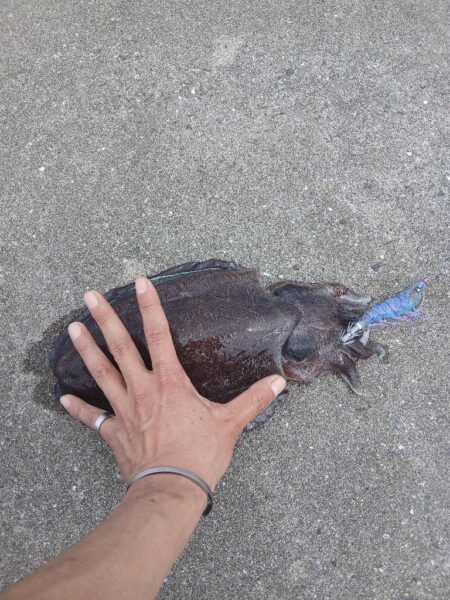 狙いちゃうけど満足!!