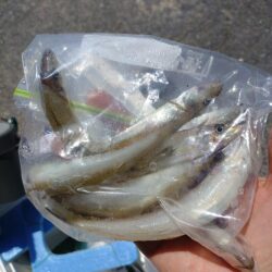 三重釣行1