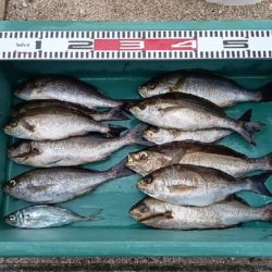 残り場所には福がある。