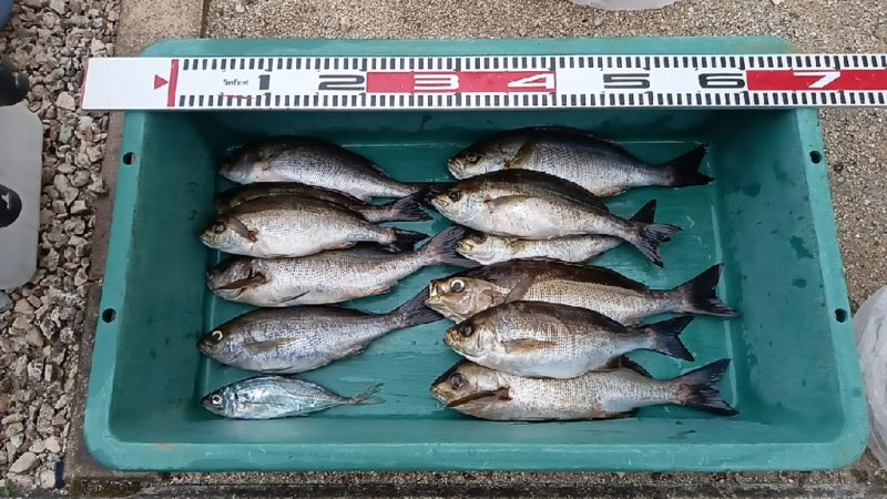 残り場所には福がある。