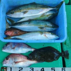 泉州丸　釣果