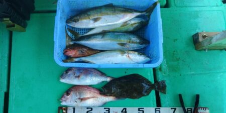泉州丸　釣果