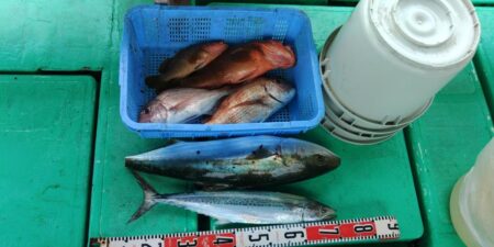 泉州丸　釣果