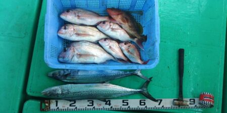 泉州丸　釣果