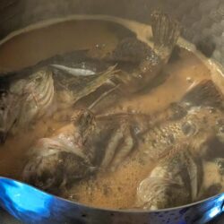 根魚祭り