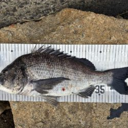 イチノ兄弟、釣果！