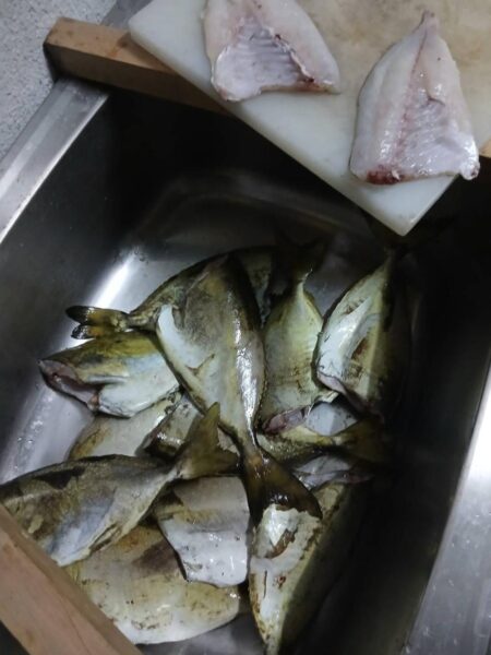 和歌山県紀伊有田（松村渡船）で磯釣り