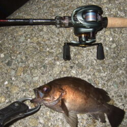 シーズン終盤