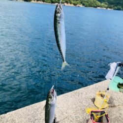 二刀流