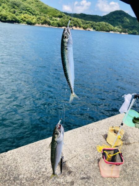 二刀流