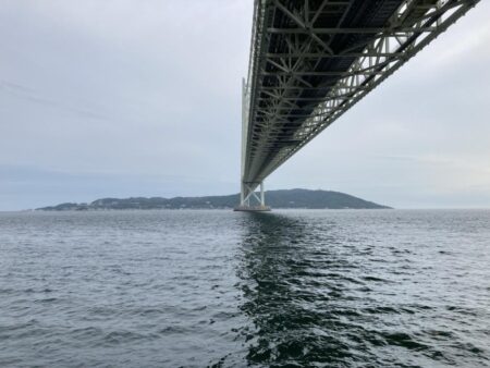 中サバ2本