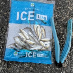 豆アジ株価少しだけ上昇？
