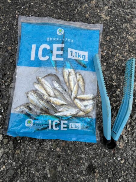 豆アジ株価少しだけ上昇？