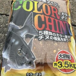 諫早市喜々津フカセチヌ