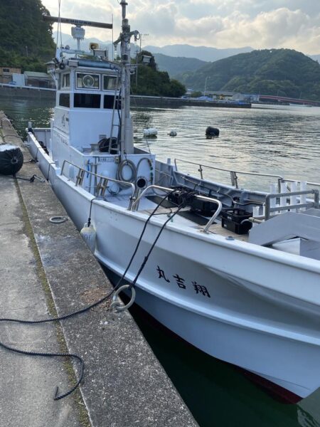 三重イカメタル