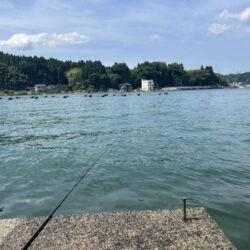 穴水町フカセ釣り