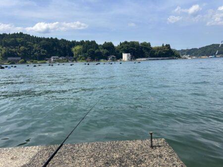 穴水町フカセ釣り