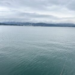 ひさびさ餌釣り